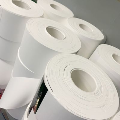 kwaliteit  0.1µM - 5µM Pore Size Nylon (Polyamide) Membrane Filter Circles fabriek